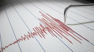 Prof. Dr. Bektaş'tan Marmara depremi açıklaması