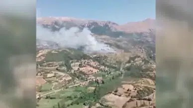 İzmir'de orman yangını : Karadan ve havadan müdahale ediliyor
