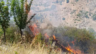 Malatya'da yangın : Üzüm bağları ve meyve bahçeleri zarar gördü