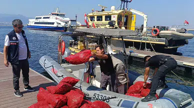 İzmir'de yasa dışı kara midye operasyonu : 560 kilogram ele geçirildi