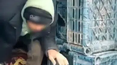 Düzce'de 7 düzensiz göçmen gözaltına alındı