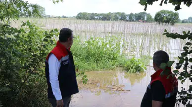 Samsun'da sağanak yağış tarım arazilerini vurdu