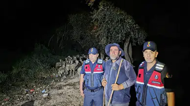 Bilecik'te kaybolan çoban ve 100 koyun jandarmanın aramasıyla bulundu