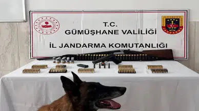 Gümüşhane'de jandarmadan operasyon : Çok sayıda silah ve mühimmat ele geçirildi