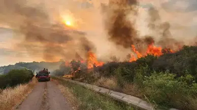 Çanakkale’de orman yangını riskine karşı 3 günlük yasak