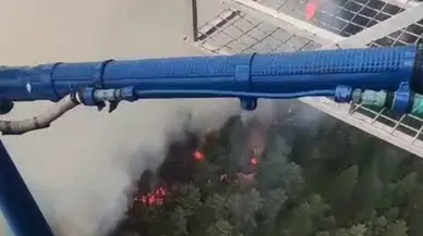 Aydın Kuyucak'ta orman yangını
