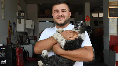 Adana'da duyarlı esnaf boğazına cisim kaçan köpeği kurtardı