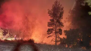 Hatay'da ormanlık alanda korkutan yangın