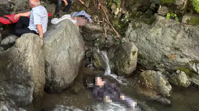 Ordu'da uçurumdan düşen 2 kardeşin cansız bedenleri bulundu