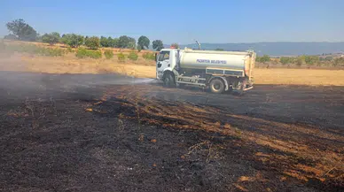 Bilecik'te anız yangını makilik alana sıçramadan söndürüldü