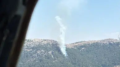 Muğla Milas’ta çıkan orman yangını söndürüldü