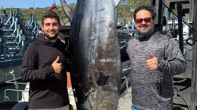 İzmir Sığacık açıklarında 260 kilogramlık orkinos yakalandı