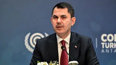Kıyılarda bakım, onarım ve temizlik işleri bakanlıkça yürütülebilecek