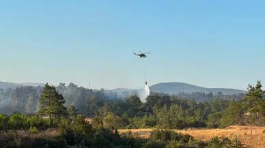 Çanakkale Bayramiç'teki orman yangını kontrol altına alındı