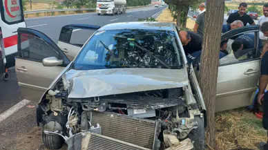 Elazığ'da kontrolden çıkan otomobil ağaca çarptı : 4 kişi yaralandı