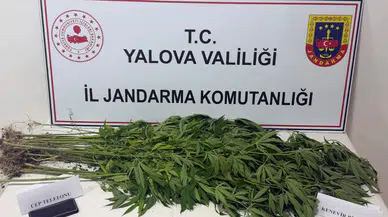 Yalova'da uyuşturucu operasyonu : 3 şüpheli gözaltına alındı