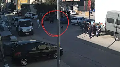 Ankara'da tasmasız köpek dehşeti : Panikleyen 15 yaşındaki Berat hayatını kaybetti