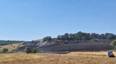 Bilecik'te arazi yangını : Havadan ve karadan müdahaleyle söndürüldü