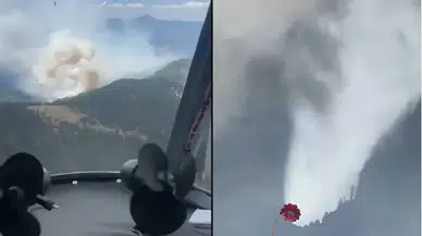 Manavgat'ta orman yangını çıktı