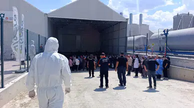 Domates serasında zehirlenme