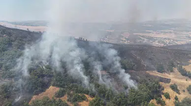 Tunceli'de orman yangını : Havadan ve karadan müdahale sürüyor