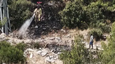 Muğla Menteşe'de makilik alanda yangın