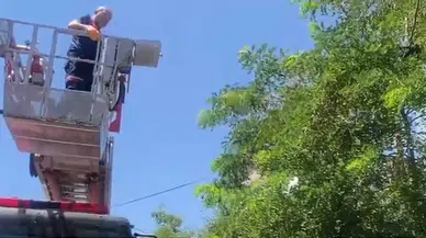 Bitlis’te ayağı ipe dolanan karga ağaçta mahsur kaldı
