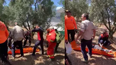 Bursa'da kayıp epilepsi hastası 36 saat sonra zeytinlik alanda bulundu
