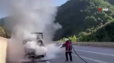 Sinop'ta tavuk taşıyan kamyonette yangın
