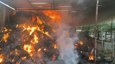 Muğla Ula'da ahır yangını : 4 büyükbaş hayvan telef oldu