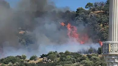 Kocaeli Gebze'de ormanlık alanda yangın