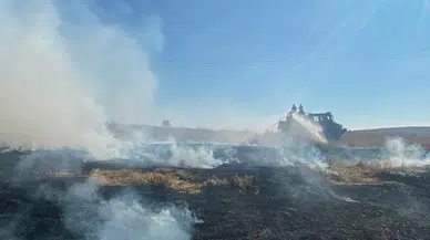 Bolu'da elektrik direğinden çıkan yangında 8 dekar alan küle döndü