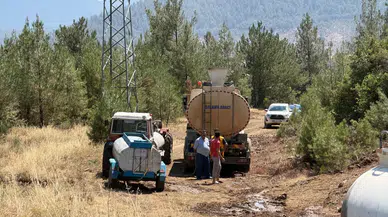 Bursa'da çıkan orman yangını büyümeden kontrol altına alındı