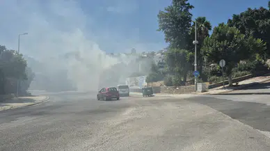 Bodrum'da otluk alanda çıkan yangın büyümeden söndürüldü