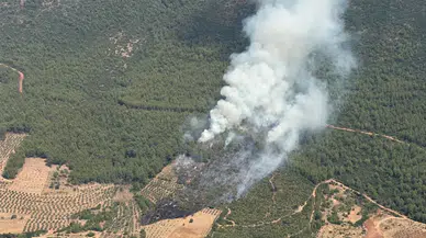 Muğla Yatağan'da orman yangını : Ekipler kontrol altına aldı