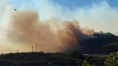 Çanakkale'de 2 ayda toplam 44 orman yangını çıktı