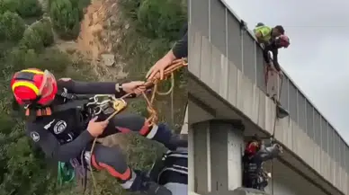 Kuzey Marmara Otoyolu'ndaki viyadükte mahsur kalan keçi kurtarıldı