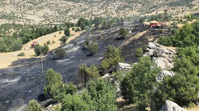 Bingöl’de iki ayrı noktada çıkan yangınlar söndürüldü