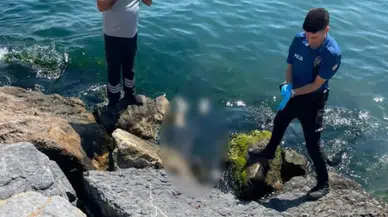 Başsavcılıktan, sahilde cesedi bulunan 3 kardeşe ilişkin açıklama