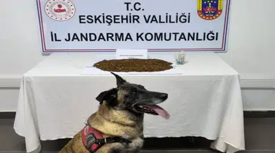 Eskişehir'de 361 gram bonzai ele geçirildi : Şüpheli tutuklandı