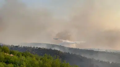 Manisa'da orman yangınlarına karşı önlemler artırıldı