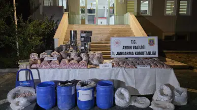 Aydın Didim'de sentetik hap imalathanesine baskın düzenlendi