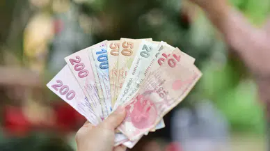 Aile Gelir Tamamlama Sistemi nedir ? Vatandaşlık maaşı 2027'de geliyor