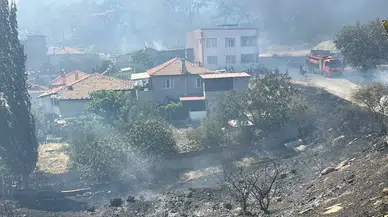 Balıkesir Kaz Dağları'nda orman yangını
