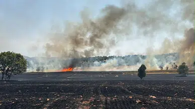 Kütahya'da tarlada başlayıp ormana sıçrayan yangın kontrol altına alındı