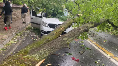 Niğde’de sağanak ve rüzgar ağacı kökünden söktü ! Otomobilin üzerine devrildi