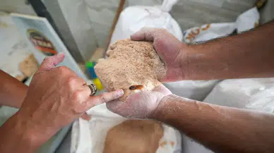 Un fabrikasında skandal görüntü