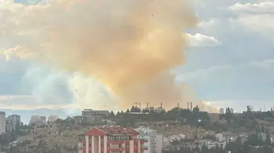 Ankara Etimesgut'ta otluk alanda yangın