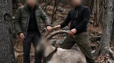 Siirt'te koruma altındaki 5 yaban keçisini avlayan şahıslara para cezası