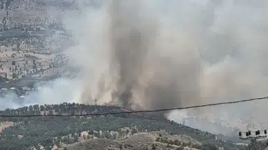 Adıyaman'da orman yangını